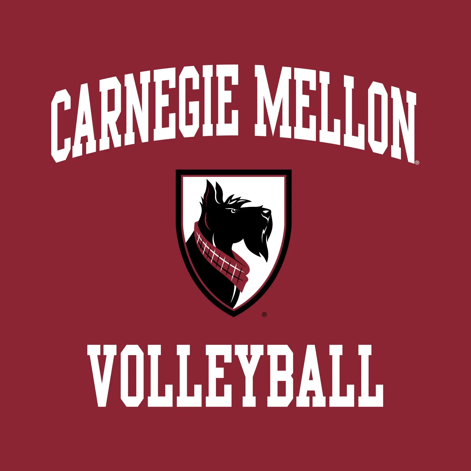 Carnegie Mellon University Tartans Arch Logo Volleyball Short Sleeve T Shirt - Cardinal