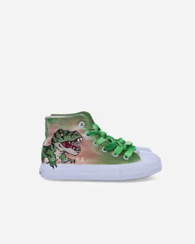 Dinosaur Hand Painted Shoes